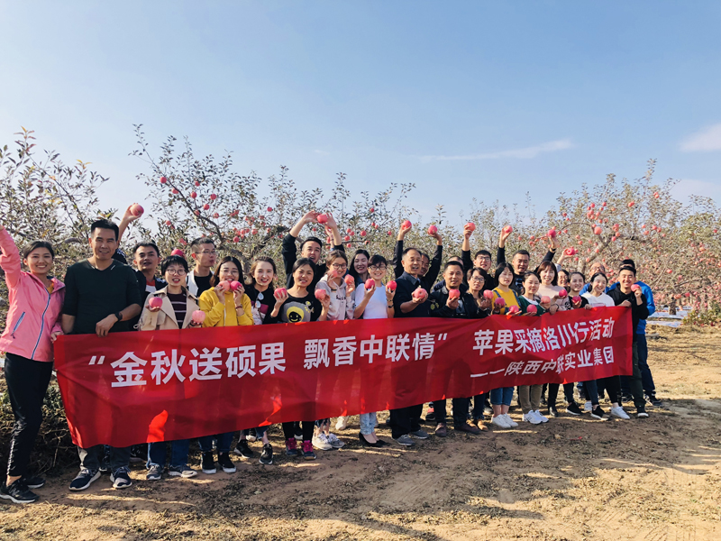  金秋送碩果  飄香中聯(lián)情 中聯(lián)集團蘋果采摘洛川行活動圓滿結(jié)束
