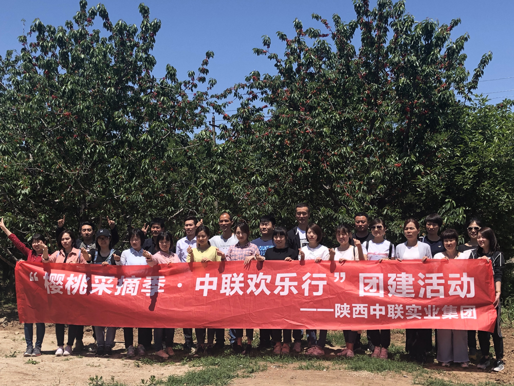 櫻桃采摘季 · 中聯歡樂行